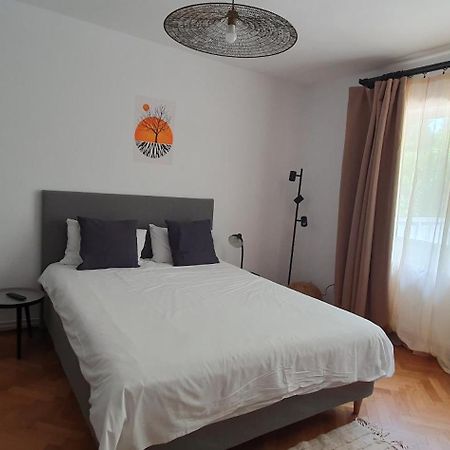The Pines Serviced Apartments Брашов Екстер'єр фото