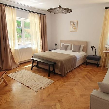 The Pines Serviced Apartments Брашов Екстер'єр фото