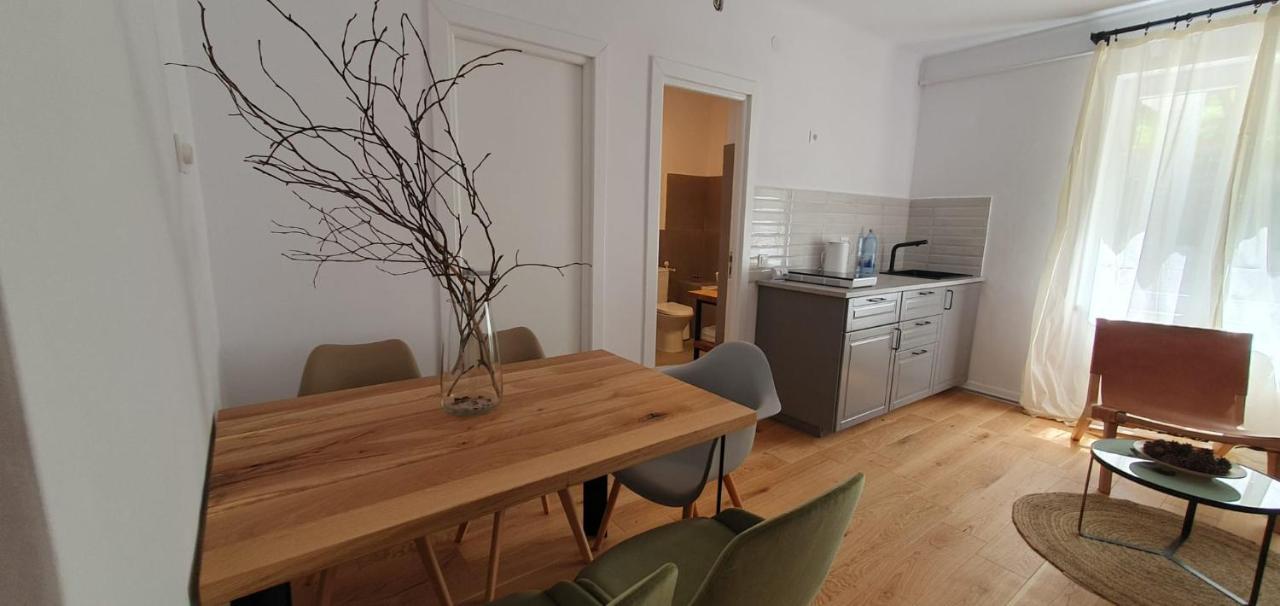The Pines Serviced Apartments Брашов Екстер'єр фото