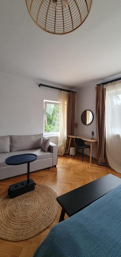 The Pines Serviced Apartments Брашов Екстер'єр фото
