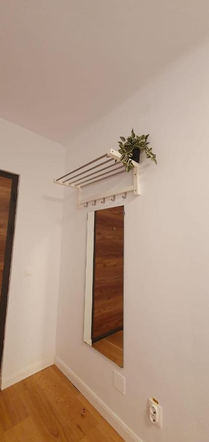 The Pines Serviced Apartments Брашов Екстер'єр фото