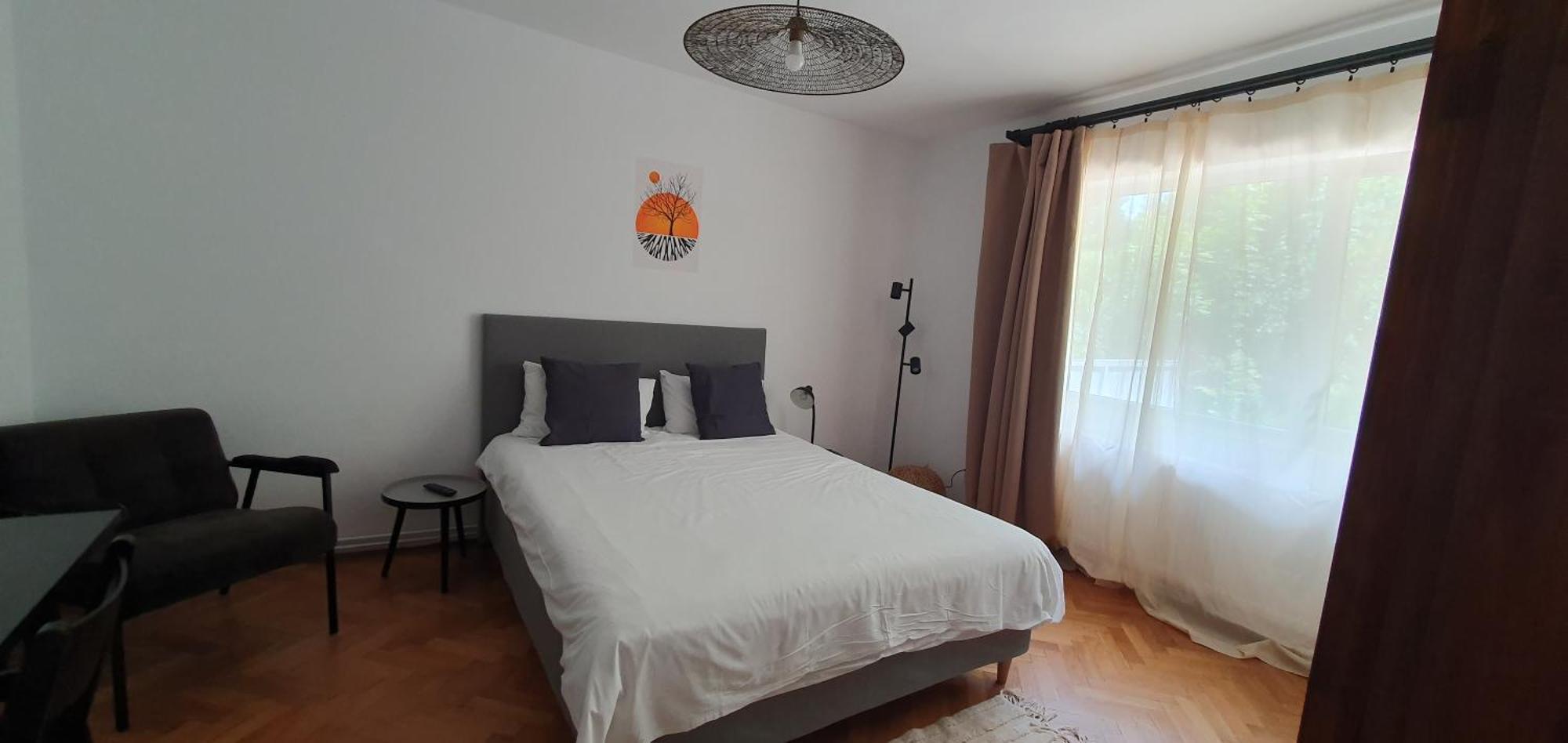 The Pines Serviced Apartments Брашов Екстер'єр фото