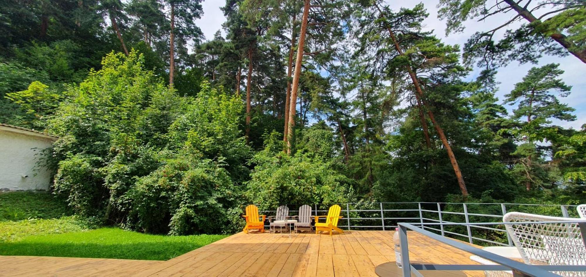 The Pines Serviced Apartments Брашов Екстер'єр фото